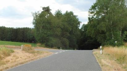 Bild: jml
Wer als Pkw-Fahrer von Luhe-Wildenau kommend flott auf die Seebühl-Kuppe zusteuert, geht - was die Sicht anbelangt - da in den Blindflug über. Nach den Architektenplänen soll die Straße hier deutlich tiefer gelegt und damit einsehbarer werden. Die Kohlberger Markträte befürchten jetzt aber bei den Baukosten eine finanzielle Bruchlandung, was bei Blindflügen schon mal vorkommen kann.
