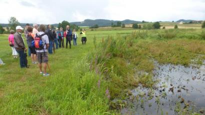 Bild: mad
Auch zu Altwassern und Tümpeln der Schwarzach führte die Bayern-Tour. Beim Weg durch die Flussauen erfuhren die Teilnehmer Wissenswertes rund um Fauna und Flora.