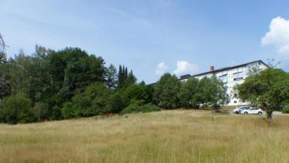 Bild: Völkl
Dort, wo jetzt noch alles Wiese ist, soll das Einkaufszentrum „Im Naabtal“ entstehen.