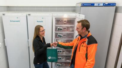 Bild: exb
Feines Wildbret vom Forst: Wolfgang Kneidl vom Forstbetrieb Fichtelberg (rechts) verkauft einen küchenfertig vorbereiteten Rehbraten