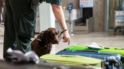 Bild: Daniel Karmann/dpa 
Für einige Urlaubsandenken interessiert sich auch der Zoll.