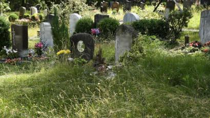Bild: Petra Hartl
Das hohe Gras auf dem Raigeringer Waldfriedhof erschwert den Zugang zu den Gräbern.