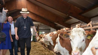 Bild: jut
Der Regensburger Bischof Rudolf Voderholzer in einem Kuhstall im Kreis Schwandorf.