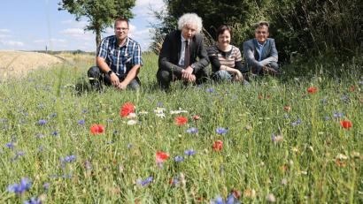 Bild: Landkreis Tirschenreuth/Stefan Malzer/exb
An der TIR 1 bei Lohnsitz nahm man vor kurzem die frische Blütenpracht in Augenschein. Trotz eindeutig zu wenig Niederschlag in den vergangenen Wochen ist die Pflanzaktion ein voller Erfolg. Von links: Martin Weiß von der Tiefbauverwaltung, Landrat Wolfgang Lippert, Kreisfachberaterin Manuela Pappenberger und Landratsamt-Pressesprecher Walter Brucker.