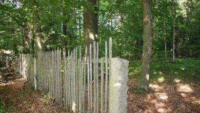 Bild: wro
Früher war der Schlosspark deutlich größer. Dazu gehörte auch das bewaldete Gelände in Richtung Güttern, das – und nicht der bekannte angrenzende Schlossgarten – wurde jetzt veräußert.