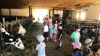 Bild: ld
Welch ein Glück, dass Kinder auf dem Land das noch erleben können. Durch die Reihen im 'Stall gehen und auch einmal eine Kuh am Kopf streicheln. Die Buben und Mädchen des Kindergartens Brand schauten auf dem Bauernhof der Familie Besold vorbei.