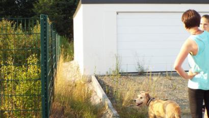 Bild: e
Der Zaun an der östlichen Seite des Spielplatzes am Mühlweg wird (nach links) zurückgebaut, dadurch entsteht ein Durchgang von rund 1,40 Meter Breite nach hinten durch die Büsche hinunter in den Kapellenradweg – zur Zufriedenheit von Spazier- und Gassi-Gängern