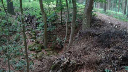 Bild: schß
Das „Teufelsloch“ zwischen Erlheim und Hohenkemnath wird immer wieder von Unbekannten mit Grünabfällen oder Steinen verfüllt.