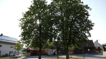 Bild: exb
Ein „einfaches Dorferneuerungsverfahren“ hat in Saltendorf maßgeblich das Erscheinungsbild des Dorfes verbessert. Der kleine Ort bekam nun von der Kreis-Jury eine Goldmedaille zugesprochen und darf sich nächstes Jahr auf Bezirksebene präsentieren.