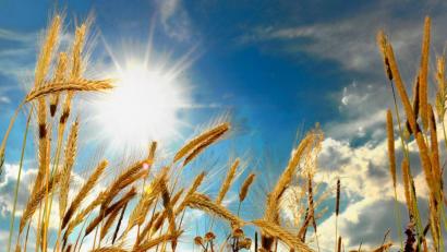 Bild: Karin Wilck
Nicht nur am Donnerstag, auch am Freitag sollen die Temperaturen wieder weit über die 30-Grad-Marke steigen.