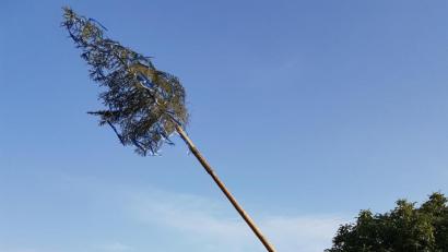 Bild: hzi
Mitglieder der Feuerwehr Thurndorf und der KLJB richten unter Anleitung von Kommandant Manuel Müllner das Kirwasymbol auf. Im Hintergrund spielt die Thurndorfer Blasmusik.