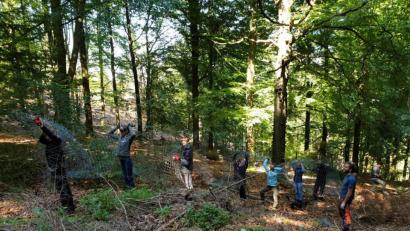 Bild: exb
Freiwilliger Einsatz für Wald und Natur: Bei einer Arbeitswoche des Bergwaldprojekts e.V. bauen Schüler der Waldorfschule Gröbenzell beim Forstbetrieb Fichtelberg einen entbehrlichen Kulturzaun ab.