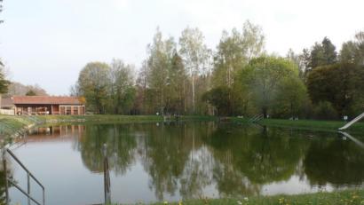 Bild: br
Das Naturbad Selingau bereit den Gemeinderäten hinsichtlich der Algenproblematik weiterhin Kopfzerbrechen. Der Einsatz von Wasserbelüftern, wie vom Arbeitskreis „Freibad Selingau“ angeregt, ist vorerst vom Tisch.