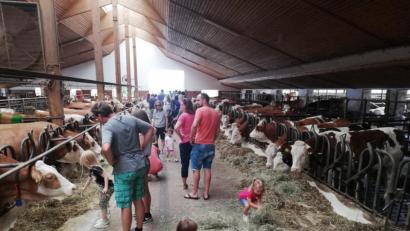 Bild: exb
Auf dem Hof der Familie Zintl in Kleinbüchlberg durften die Kinder Tiere streicheln.