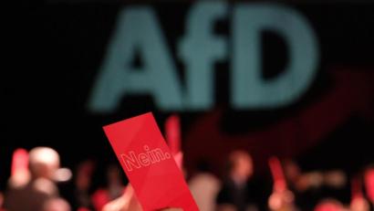 Bild: Sebastian Willnow
Delegierte halten Karten mit der Aufschrift "Nein" hoch.