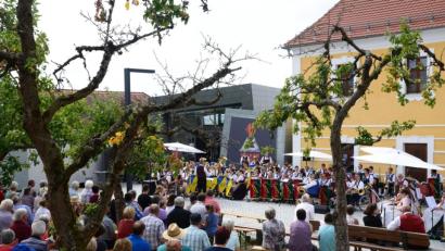 Bild: bey
Abwechselnd spielten die drei Kapellen bei der Kreisserenade vor dem Landrichterschloss auf. Die Zuhörer unter den Obstbäumen waren von den Darbietungen begeistert.