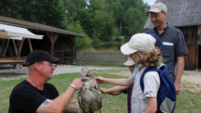 Bild: kar
Beim großen Kindertag im Freilandmuseum konnte sogar mit Greifvögeln auf Tuchfühlung gegangen werden.