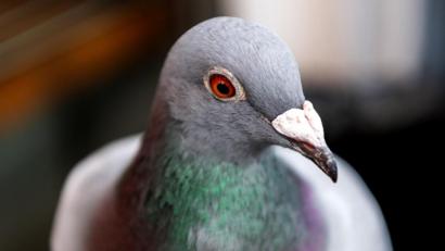 Symbolbild: Robert Michael/dpa