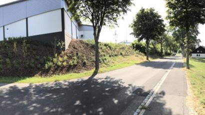 Bild: Gabi Schönberger
Wo jetzt noch eine bewachsene Böschung die Aldi-Filiale in Neustadt einsäumt, soll ein 48 Meter langer Lärmschutzwall hin. Viele Stadträte halten das für unsinnig. (phs)