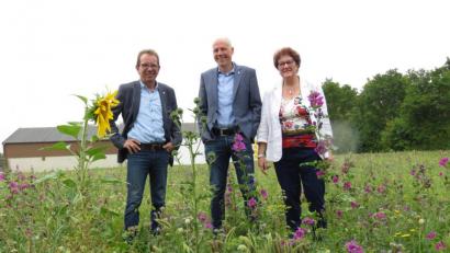 Bild: ubb
Endlich hat's geregnet. Prokurist Wolfgang Horn, Inhaber Jörg Kulzer und Seniorchefin Lieselotte Kulzer (von links) freuen sich, dass auf einer ungenutzten Wiese nahe des Zentrallagers die Blühfläche gedeiht.