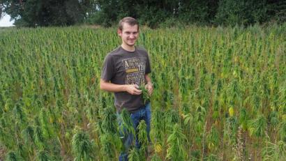 Bild: bl
Josef Stangl begutachtet sein Hanf-Feld bei Raffach und schmunzelt über das Interesse, das die Sonderkultur bei Passanten und Behörden weckt. Denn als Quelle für psychoaktive Substanzen ist diese Sorte nicht geeignet.