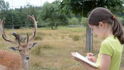 Bild: Gabi Schönberger
Die Ferienprogramm-Kinder nehmen die Tiere im Tierpark Gleitsbachtal genau unter die Lupe.