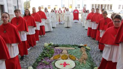 Bild: kro
Vor der Basilika hatten Mitglieder des Pfarrgemeinderats einen schönen Blumenteppich gelegt.Daran vorbei zogen Ministranten, Ordensschwestern und die Geistlichen in die Basilika ein.