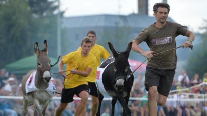 Bild: Timm Schamberger
Rund 3000 Besucher haben sich bei strahlendem Sonnenschein das traditionelle Eselrennen beim diesjährigen Hersbrucker Altstadtfest angesehen.