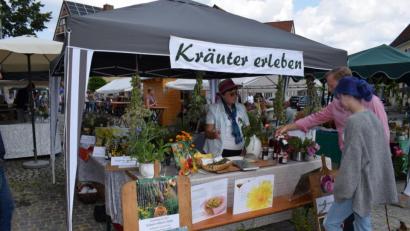Bild: wku
Die Königsteiner Kräuterexpertin und Buchautorin Markusine Guthjahr informiert am "Markt der Genüsse" über einheimische Kräuter und Heilpflanzen.