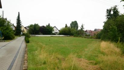 Bild: bey
Die noch bestehende Grünfläche wird das Baugebiet "Tulpenweg". Auf der rechten Seite, angrenzend an den vorhandenen Hang, wird die Erschließungsstraße gebaut und nach jetzigem Stand als Einbahnstraße von Süden (unterer Bildrand) nach Norden (oberer Bildrand) ausgewiesen.