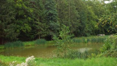 Bild: e
Diese Biotop-Optimierung bei Wutschdorf am Hennenbach ist Teil des Verbundprojektes Naabgebirge im Landkreis Amberg-Sulzbach. Schwerpunkt ist es, Amphibien-Lebensräume zu verbessern.