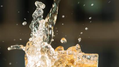 Symbolbild: Robert Günther/dpa