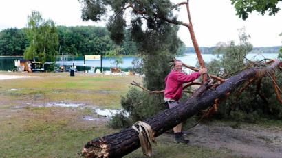 Bild: Gerhard Götz
In der Freizeitanlage Movin' Ground am Steinberger See hat am Dienstag eine heftige Sturmbö einen stattlichen Baum umgeworfen. Er stand direkt am Ufer in der Nähe einer kleinen Bootshütte (Hintergrund).