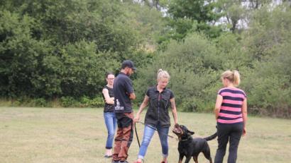 Bild: ads
Gehorsam ist besonders gefragt, wenn sich der Hundebesitzer mit seinem Vierbeiner entspannt durch Menschenmengen bewegt. Das und vieles wird beim Hundesportverein Hirschau trainiert.