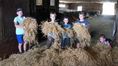 Bild: fvo
Spaß am Bauernhof im Stroh