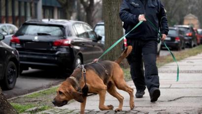Bild: dpaHendrik Schmidt/dpa
Eine Mutter und ihre Tochter werden in München vermisst. Die Polizei hat speziell ausgebildete Hunde zur Personensuche eingesetzt.