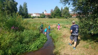 Bild: tr
Den Auslauf des Stadtteichs im Fischhofpark in die Waldnaab, reinigten die Jugendlichen des FVS.