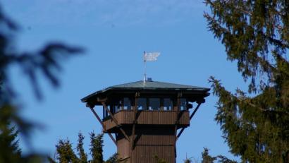 Bild: exb
Auf den Böhmerwaldaussichtsturm führt eine Sommernachtswanderung der Feuerwehr Schönau.