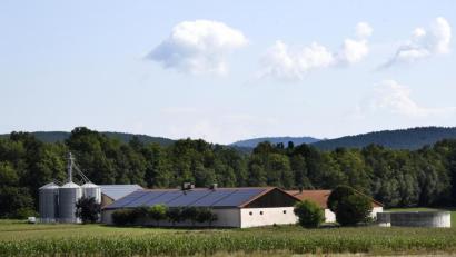 Bild: Petra Hartl
Der Schweinestall von Alfons Purschke zwischen Gärmersdorf und Kümmersbruck.