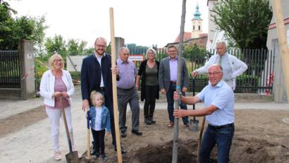 Bild: prh
Mit der Silberlinde pflanzt der Vorstand des Kreisverbandes für Gartenbau und Landespflege mit Albert Nickl (vorne) an der Spitze sehr zur Freude von Landrat Andreas Meier (Dritter von links) einen Zukunftsbaum, der den veränderten Klimabedingungen trotzen soll.