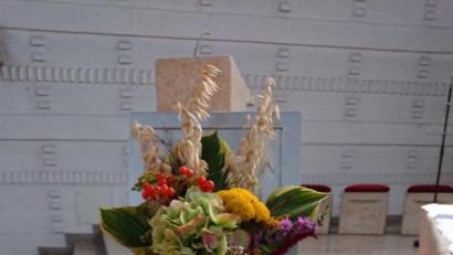 Bild: lep
13 fleißige Frauen fertigten aus Kräutern, Blumen und Getreide knapp 200 duftende Kräuterbuschen. Einer davon steht nun in der Mariä-Himmelfahrs-Kirche in Kirchenthumbach.