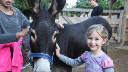 Bild: kmo
Die Eselführung rund um Hackern sorgte für strahlende Kinderaugen.