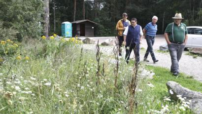 Bild: Hirsch
Gemeinsam mit Hans Schießl vom Wackersdorfer Imkerverein und dem Biotop-Beauftragte der Gemeinde, Rudi Prebeck machte sich Bürgermeister Thomas Falter (von rechts) ein Bild von der "Veitshöchheimer Bienenweide" am Erlebnispark.