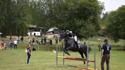 Bild: bnr
Auch beim Springen hat das Rottaler Pferd seine Qualitäten.