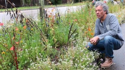 Bild: Hirsch
ÖDP-Ortsvorsitzender Jochen Surel hat vor seinem Haus im Bahnweg einen Blühstreifen angelegt und wirbt um Nachahmung.