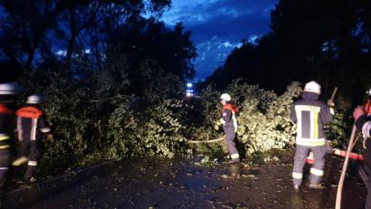 Bild: exb/Feuerwehr Nabburg
Die Feuerwehr Nabburg räumte beispielsweise auf der Straße zwischen Perschen und Pfreimd (Bild) mehrere umgestürzte Bäume aus dem Weg.