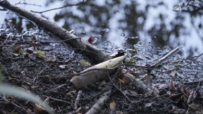 Bild: bkr
Wo sie herkommt und wie lange sie schon am Ufer des Hirschbergweihers lag, kann augenblicklich niemand sagen. Die Granate stellt auf alle Fälle keine Gefahr mehr dar.