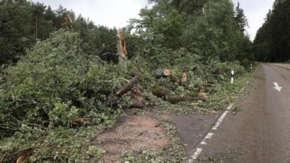 Bild: Wolfgang Steinbacher
Sturmschäden in der Gemeinde Freudenberg.