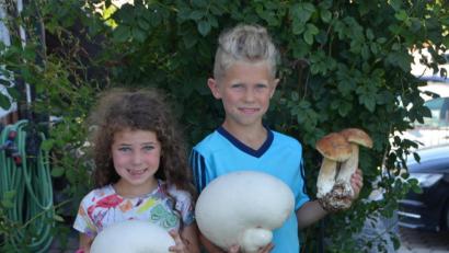 Bild: dob
Mia und Jan Wittmann im Schwammerlglück. Die Pilze ergeben weit mehr als eine Mahlzeit. Nicht nur die beiden Kinder sind total begeistert.