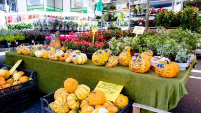 Bild: Heinz Hofmann/exb
Das Angebot aus dem Bereich Floristik und Gartenbau dürfte auch heuer den Marktbesuchern gefallen.